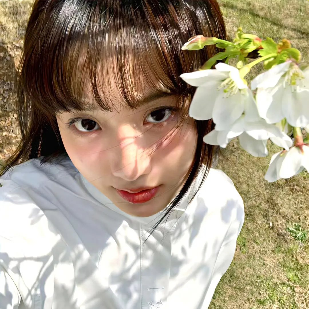 洋烟流毒